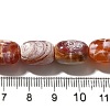 Natural Fire Crackle Agate(Dyed & Heated) Beads Strands G-H091-C03-01-4