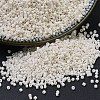 MIYUKI Delica Beads X-SEED-J020-DB0211-1