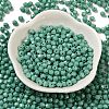Baking Paint Glass Seed Beads SEED-C004-01I-2