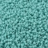 MIYUKI Delica Beads X-SEED-J020-DB1136-3