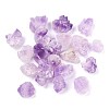 Rough Raw Natural Amethyst Beads G-M376-01-3