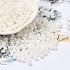Glass Seed Beads SEED-H002-E-A121-1