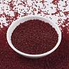 MIYUKI Round Rocailles Beads X-SEED-G009-RR2410-2