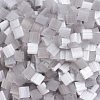 MIYUKI TILA Beads X-SEED-J020-TL2598-2
