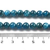 Natural Apatite Beads Strands G-O186-G01-01-4