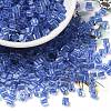 Glass Seed Beads X1-SEED-H002-F-1114-1