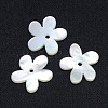 Natural White Shell Beads SSHEL-I008-03-1