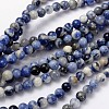Natural Sodalite Beads Strand GSR8mmC013-1