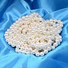 Round Shell Pearl Bead Strands X-BSHE-L011-10mm-A013-4