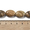 Natural Picture Jasper Beads Strands G-P528-M28-01-5