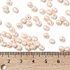 6/0 Glass Seed Beads SEED-L011-08A-24-4