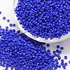 6/0 Glass Seed Beads SEED-J014-F6-48-1