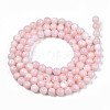 Natural Freshwater Shell Beads Strands SHEL-N003-24-B09-2