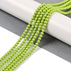 Synthetic Turquoise Beads Strands G-U004-02C-2