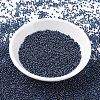 MIYUKI Round Rocailles Beads X-SEED-G007-RR0358-2
