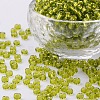 6/0 Glass Seed Beads SEED-US0003-4mm-24-1