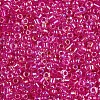 12/0 Glass Seed Beads X-SEED-A016-2mm-203-3