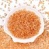 Baking Paint Electroplate Transparent Glass Seed Beads SEED-N006-07G-2
