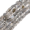 Natural Labradorite Nuggets Beads Strands X-G-J335-40-2