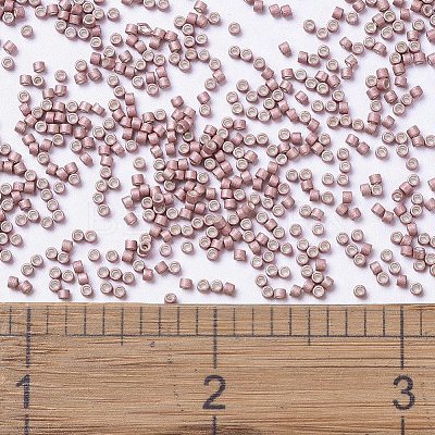 MIYUKI Delica Beads X-SEED-J020-DB1166-1