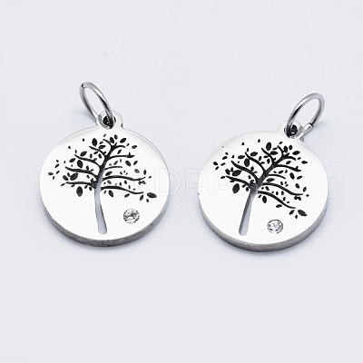 Eco-Friendly 316 Surgical Stainless Steel Micro Pave Cubic Zirconia Charms RB-I078-75P-NR-1