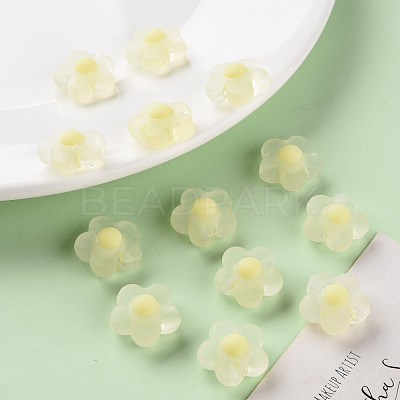 Transparent Acrylic Beads TACR-S152-09C-07-1
