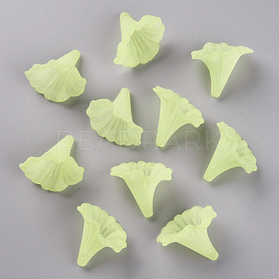 Transparent Acrylic Beads BSF796-C17-1