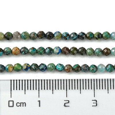 Natural Chrysocolla Beads Strands G-Z034-A03-02-1