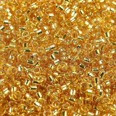 Glass Seed Beads SEED-S042-04A-12-1