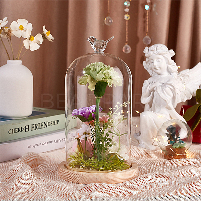 Glass Dome Cover DIY-WH0504-317C-1