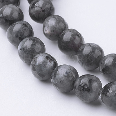 Natural Black Larvikite Bead Strands G-G735-57-6mm-1