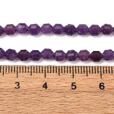 Natural Lepidolite/Purple Mica Stone Beads Strands G-A260-A04-01-1