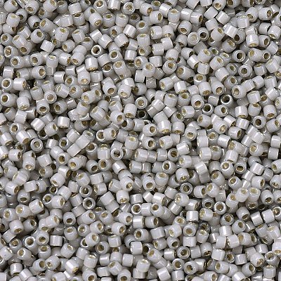 MIYUKI Delica Beads X-SEED-J020-DB1456-1
