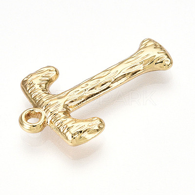 304 Stainless Steel Pendants STAS-N117-01G-T-1