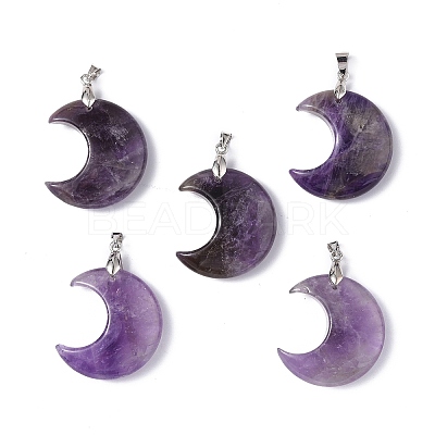 Natural Amethyst Pendants G-Z022-04C-1