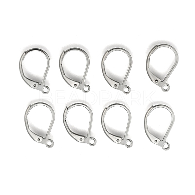 Tarnish Resistant Stainless Steel Color Tone 304 Stainless Steel Leverback Earring Findings X-STAS-E007-3-1