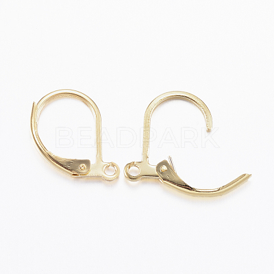 304 Stainless Steel Leverback Earring Findings STAS-L190-14G-1