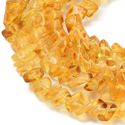 Natural Amber Beads Strands G-K376-C02-01-1