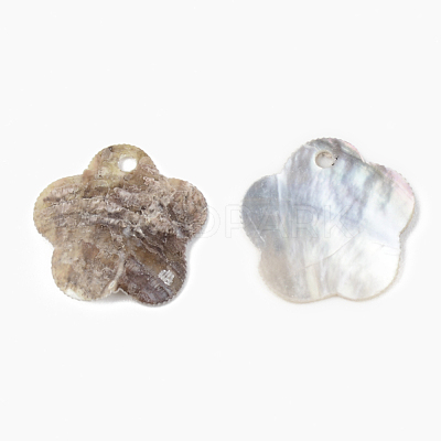 Natural Akoya Shell Pendants X-SHEL-R048-024-1