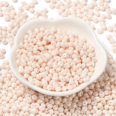 6/0 Glass Seed Beads X1-SEED-M012-01A-09-1