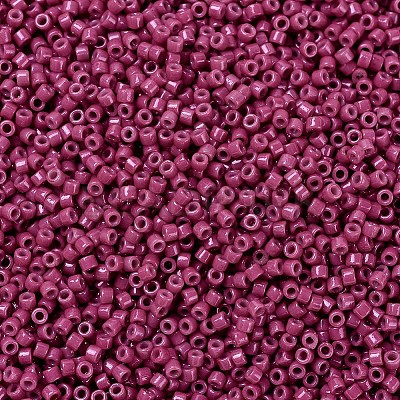 MIYUKI Delica Beads SEED-MY11-DB2118-1