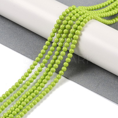 Synthetic Turquoise Beads Strands G-U004-02C-1