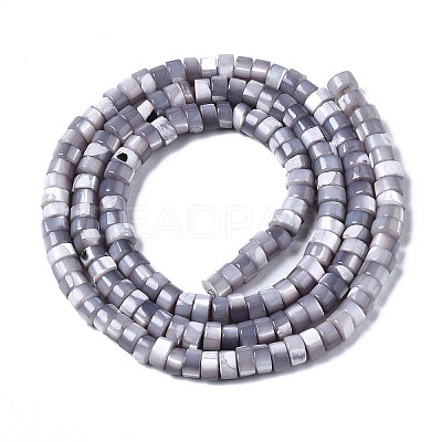 Natural Trochus Shell Beads Strands X-SHEL-S278-027J-1