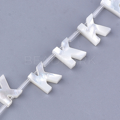 Sea Shell Beads LS-X-SHEL-T012-60K-1