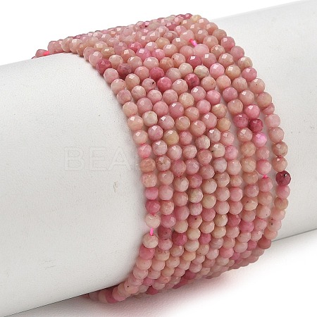Natural Rhodonite Beads Strands X-G-P553-G06-01-1