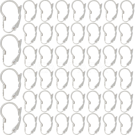 SOFPLATE 304 Stainless Steel Leverback Earring Findings STAS-SP0001-03A-1