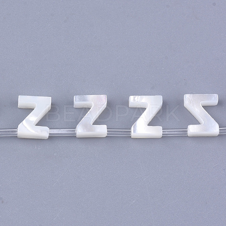Natural Sea Shell Beads X-SHEL-T012-60Z-1