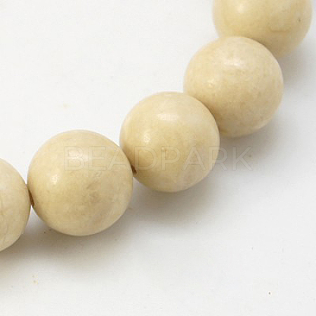 Natural Fossil Beads Strands X-G-E110-12mm-2-1