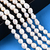 Natural Baroque Pearl Keshi Pearl Beads Strands PEAR-S020-F04-01-2