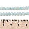 Natural Freshwater Shell Dyed Beads Strands SHEL-R100-12A-02-4
